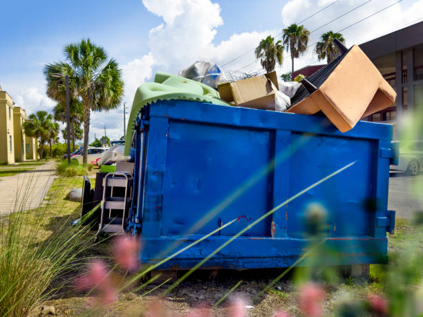 Best Carpet Removal and Disposal  in Spring Grove, MN