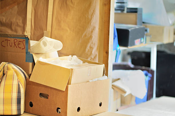 Best Property Management Cleanouts  in Spring Grove, MN